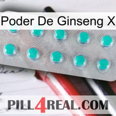 Ginseng Power X 28